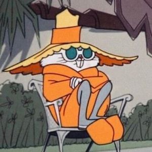 Meet your Posher, Kitty